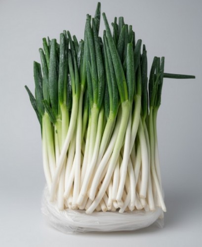 국산 깔끔대파 10kg